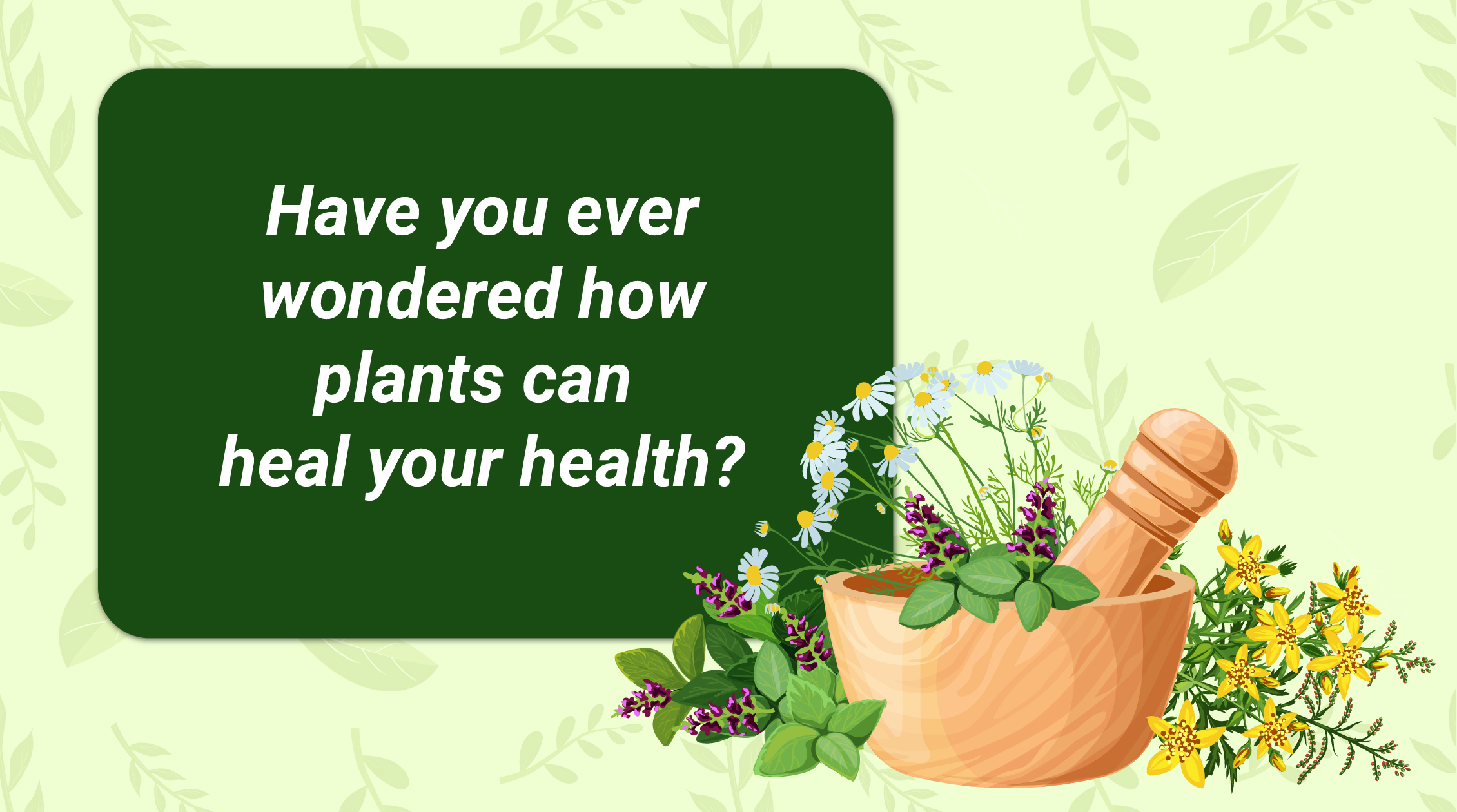 banner Herbal Medicine 101 A Simple Guide to Natural Healing 01