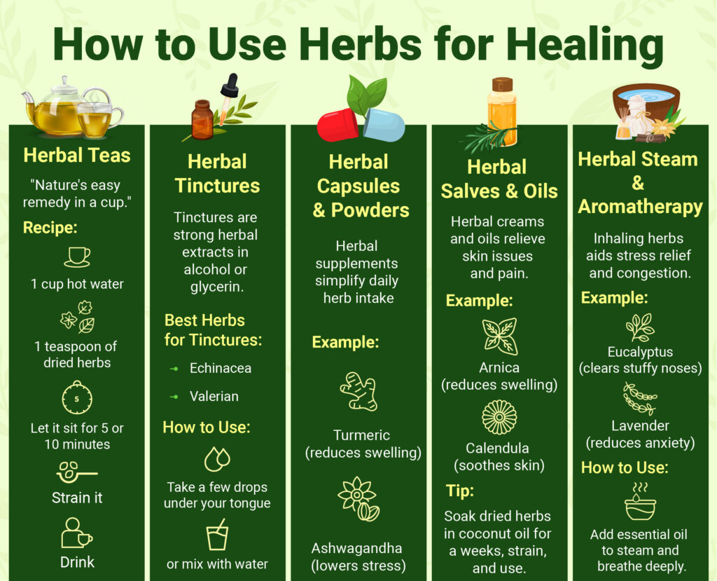 herbal medicine 101 guide on how to use herbs for healing