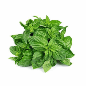 download c6ef0897 383c 45e7 9282 79e2095d90ea 1