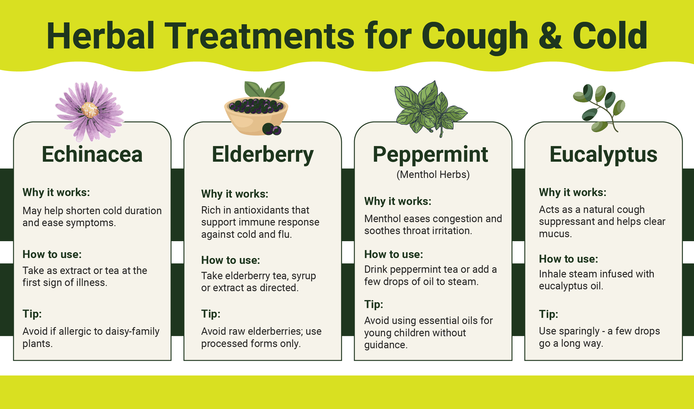 The Best Natural Remedies for Cold, Cough & Flu: A Complete Guide 2 Best Natural Remedies Kitchen Lifestyle for Cold 02